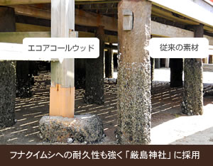 フナクイムシへの耐久性も強く「厳島神社」に採用されました。