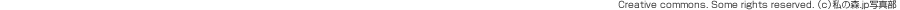 Creative commons. Some rights reserved. ��c�˻�ο�.jp�̿���