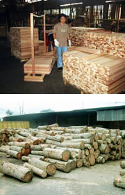 木材の輸入販売
