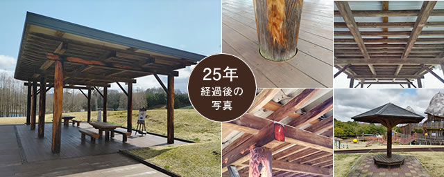 つどいの里