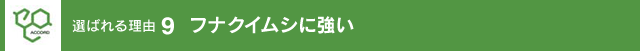 フナクイムシに強い